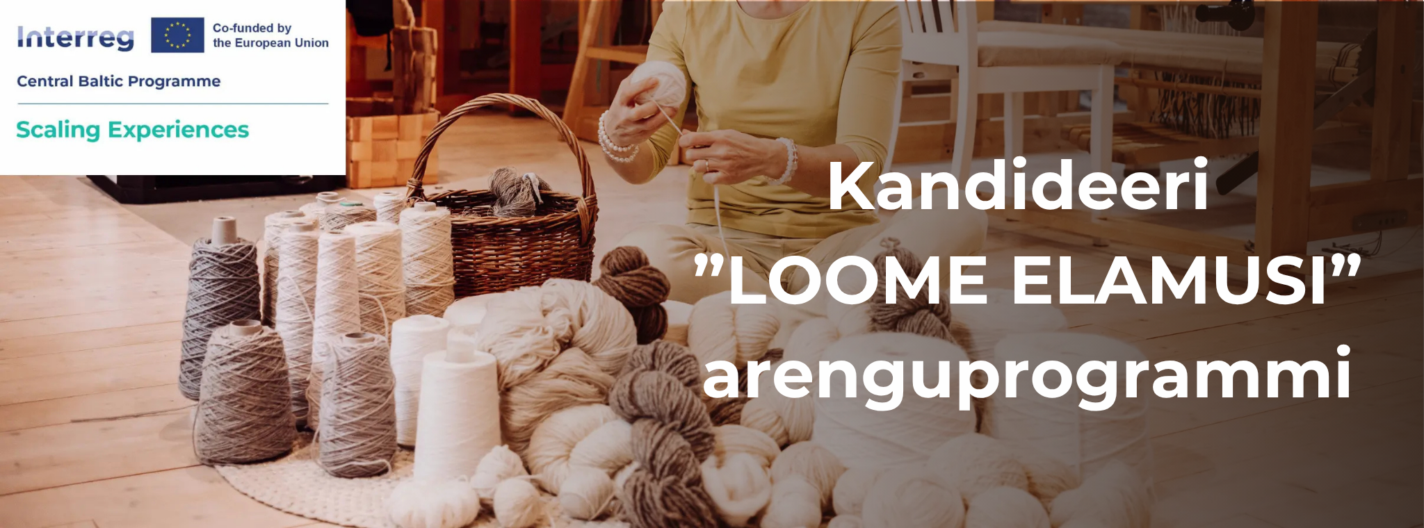 Kandideeri loome elamusi arenguprogrammi
