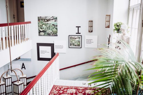 MAIKRO loomeka näitus - Fotograaf Eesi Raa 21